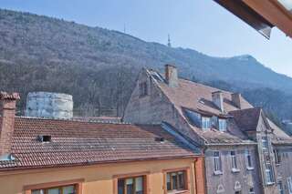 Гостевой дом Casa Reims Брашов Люкс с 1 спальней с видом на горы-2