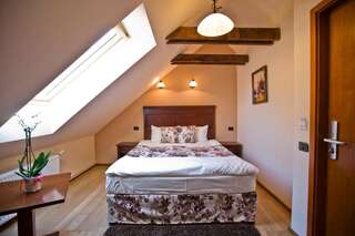 Гостевой дом Casa Reims Брашов Двухместный номер Делюкс с 1 кроватью и видом на горы-4