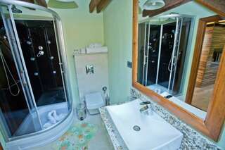 Гостевой дом Casa Reims Брашов Стандартный двухместный номер с 1 кроватью и видом на горы-8