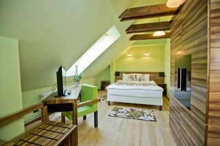 Гостевой дом Casa Reims Брашов Стандартный двухместный номер с 1 кроватью и видом на горы-1